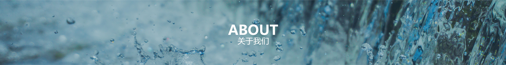 关于尊龙中国官方网站